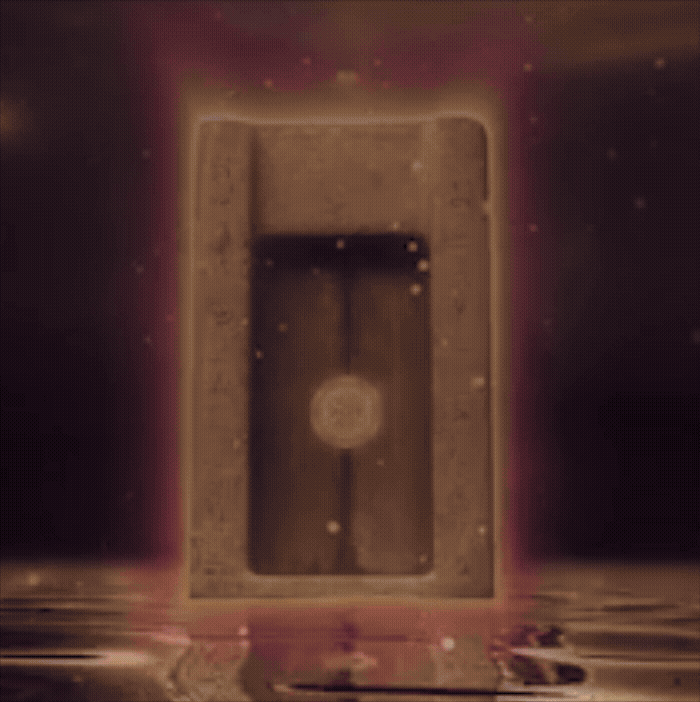 3 doors video